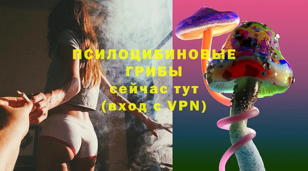 мдма Бородино