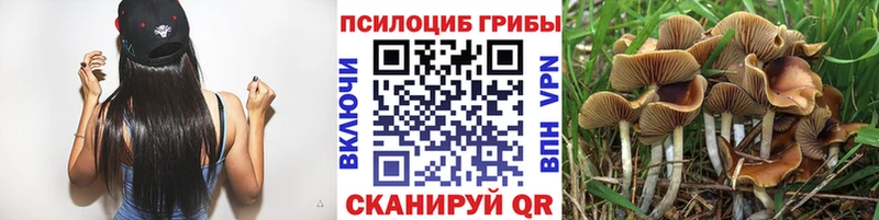 Псилоцибиновые грибы MAGIC MUSHROOMS  хочу   Козловка 